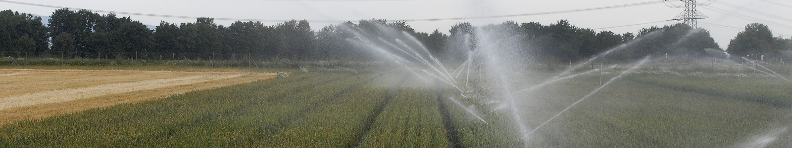 Agrarmeteorologie Landwirtschaft Bewasserung Gesicherter Login Bewasserung